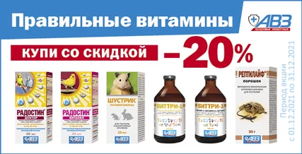 Скидка 20% на витамины для животных!