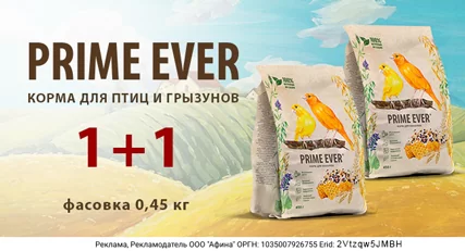 1+1 корм Prime Ever для канареек
