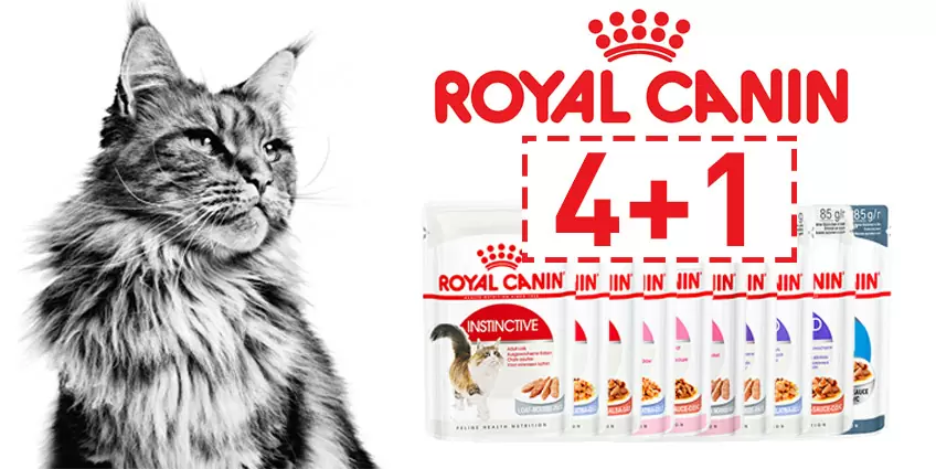 Royal Canin для кошек 4+1