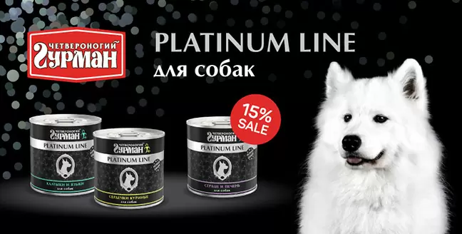 Скидка 15% на корма Четвероногий Гурман для собак