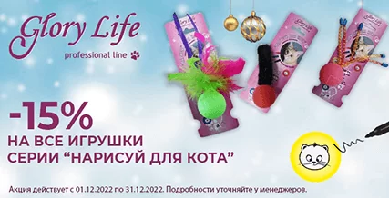 Скидка 15% на игрушки Glory Life нарисуй кота!