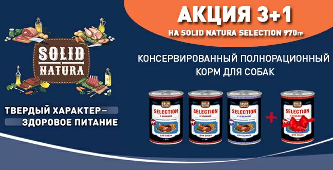 Банка Solid Natura 970 гр. в подарок!