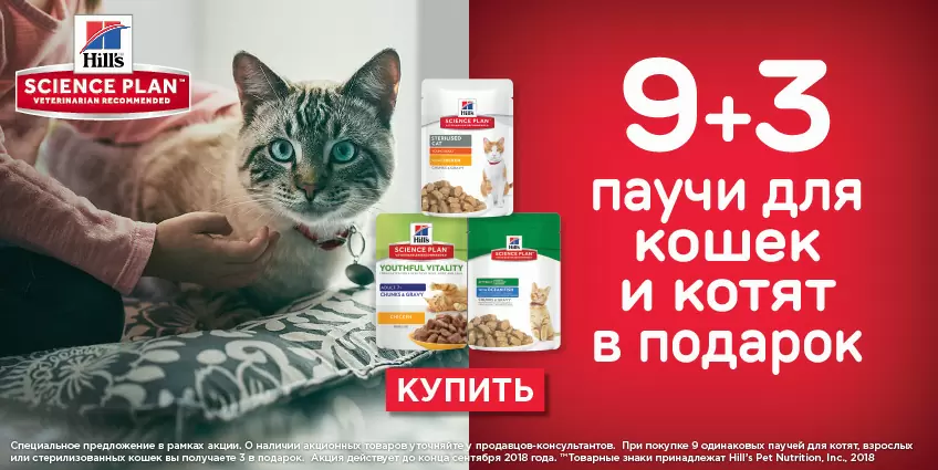 Паучи Hils в подарок 9+3