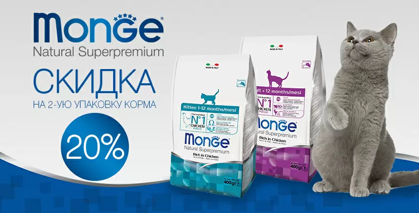 20% на вторую упаковку корма Monge для кошек!