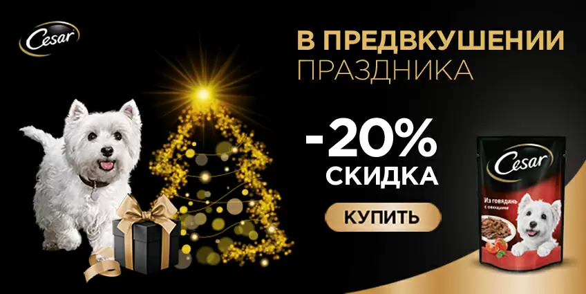 Скидка 20% на Cesar
