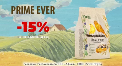 Скидка 15% на корм Prime Ever для канареек