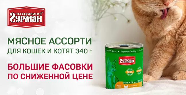 Скидка 10% на консервы Четвероногий Гурман для кошек
