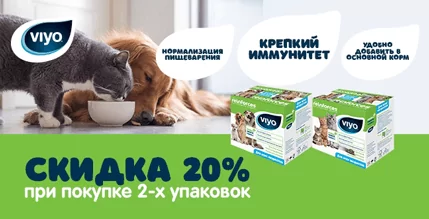 Скидка 20% на пребиотик Viyo для кошек и собак!