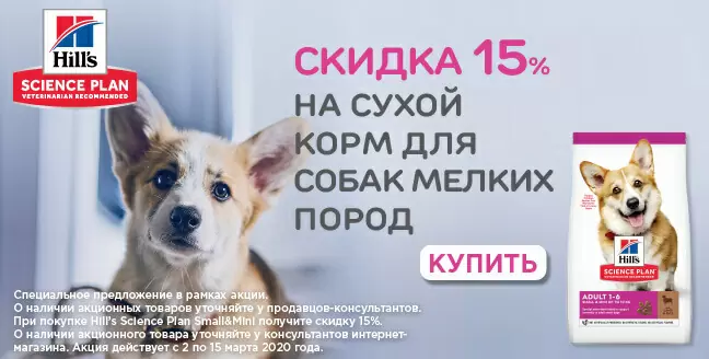 Скидка 15% на сухой корм Hills для декоративных собак.