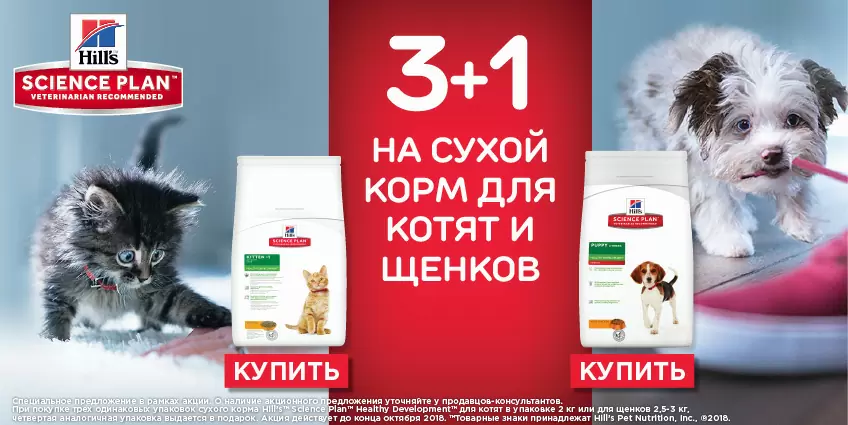 Акция Hills 3+1