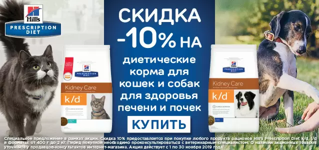 Скидка 10% на диетические корма Hills для почек и печени!