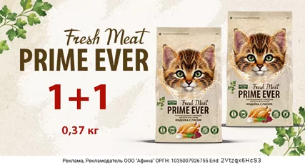 1+1 Prime Ever Fresh Meat для котят