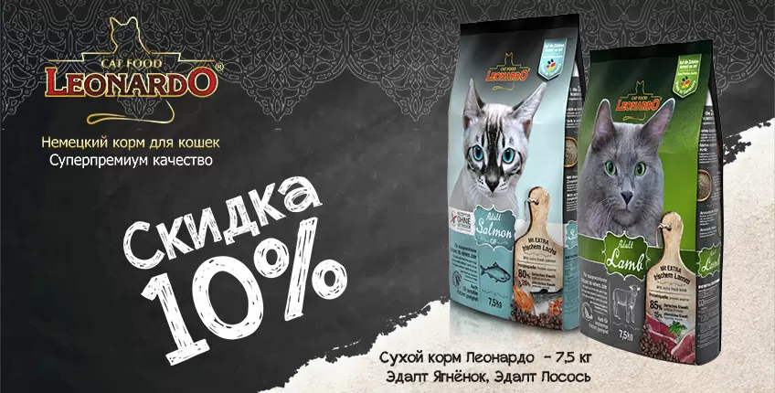 10% на сухой корм для кошек Leonardo! 