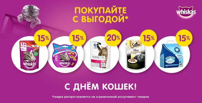 Скидка 15% на корма и наполнители для кошек