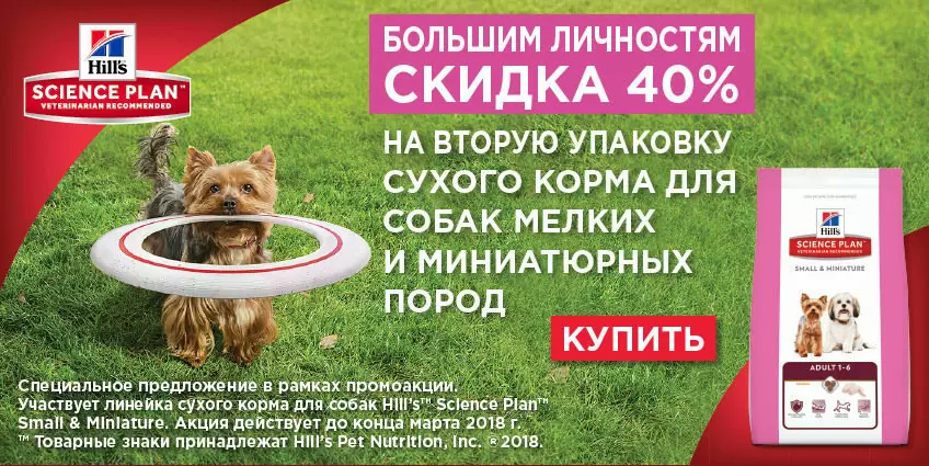 40% на вторую упаковку Hills для собак мелких пород!
