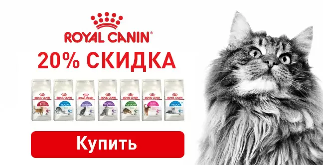 20% скидка на Royal Canin