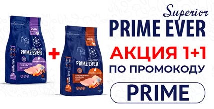 Скидка 50% при покупке от двух упаковок Prime Ever Superior!