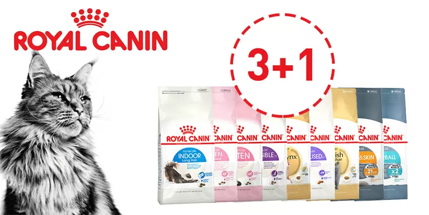 Royal Canin для кошек 3+1