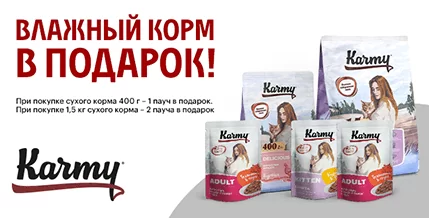 Влажный корм Karmy в подарок!