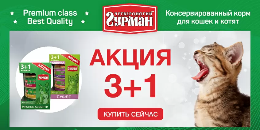 Консервы Четвероногий Гурман 3+1 в подарок!