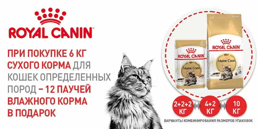 12 упаковок корма для кошек Royal Canin в подарок