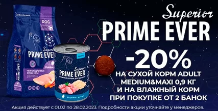 Скидка 20% на весь корм Prime Ever Superior для собак!