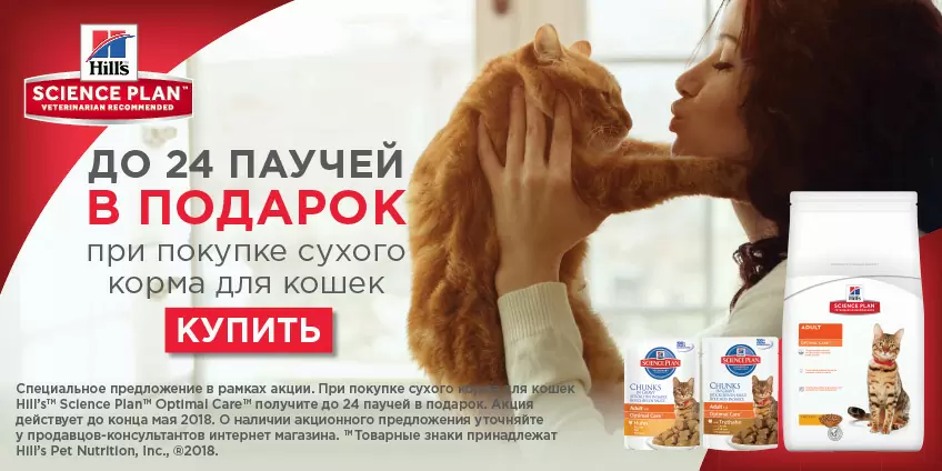 Упаковки влажного корма Hills в подарок