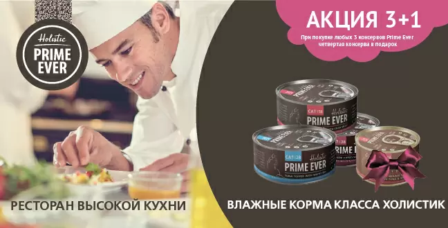 Банка Prime Ever в подарок!