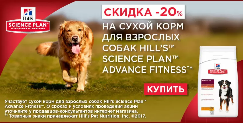 20% скидка на сухой корм Hills Advance Fitness!