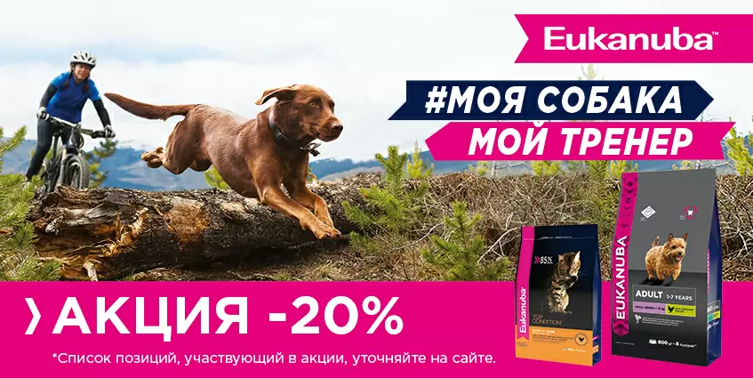 20% на сухой корм для собак Eukanuba!