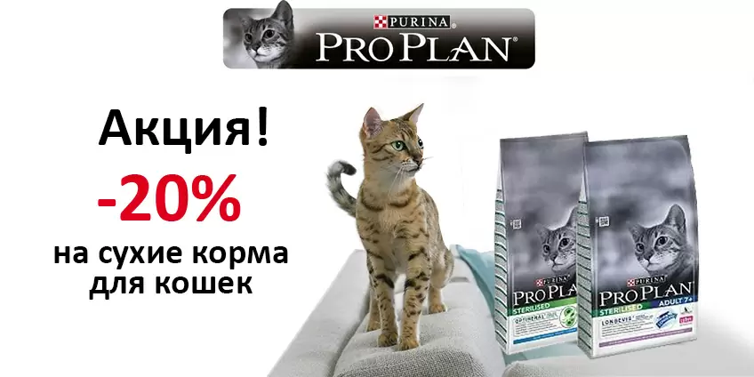 Скидка 20% на Purina!