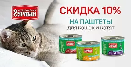 Скидка 10% на Четвероногий гурман для кошек