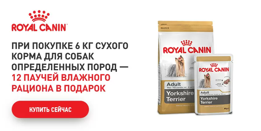 12 паучей Royal Canin в подарок