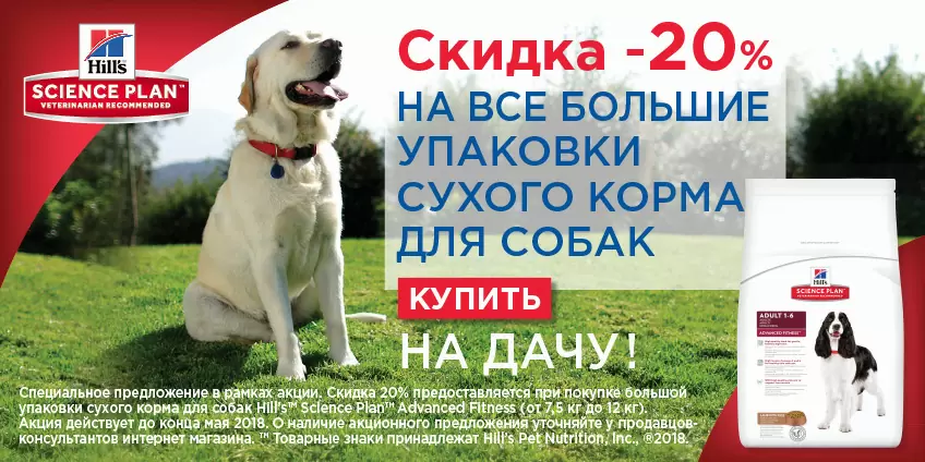 Скидка 20% на большие упаковки корма Hills!