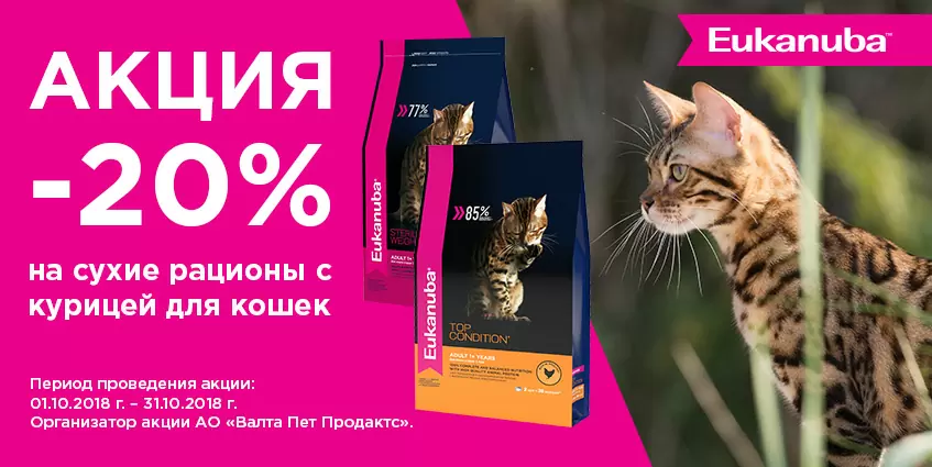 Скидка 20% на Eukanuba с курицей для кошек