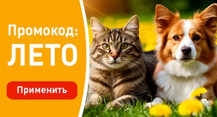 Скидка 10% на весь ассортимент!
