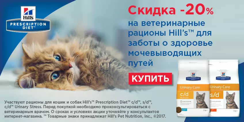 20% скидка на ветеринарные корма Hills для кошек и собак! 