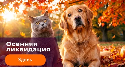 Скидка 10% на весь ассортимент!