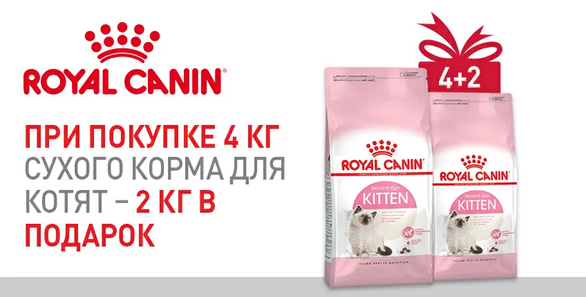 При покупке 4 кг корма Royal Canin для котят - 2 кг в подарок!