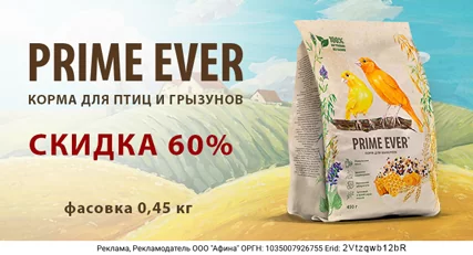 Скидка 60% на корм Prime Ever для канареек