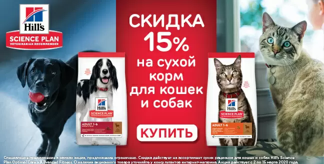 Скидка 15% на сухой корм Hills для кошек и собак