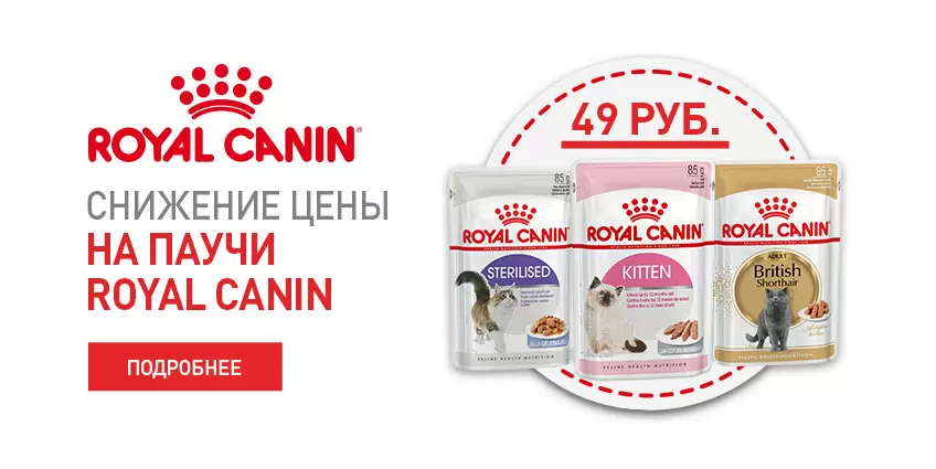 Снижение цен на влажный корм Royal Canin!