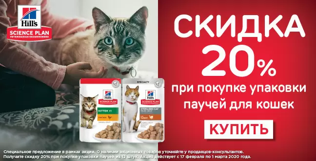 Скидка 20% на паучи Hills для кошек!