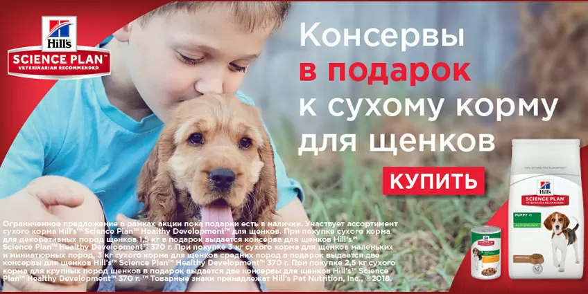 Консервы Hills в подарок к сухому корму для щенков!