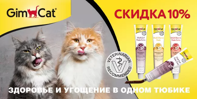 Скидка 10% на пасты GimCat для кошек!