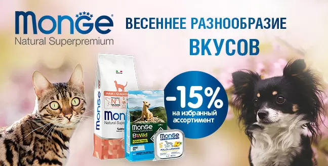 Скидка 15% на сухие корма Monge