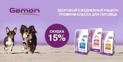 Скидка 15% на сухой корм Gemon для кошек и собак!