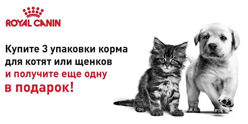 Корма Royal Canin 3+1 для котят и щенков