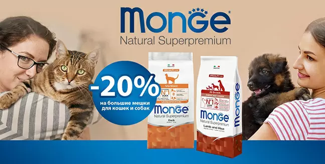 Скидка 20% на большие мешки Monge для кошек!