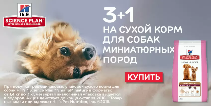 Акция Hills 3+1 для собак маленьких пород